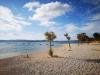 Ferienwohnungen Sveto - 400 m from beach: Kroatien - Dalmatien - Zadar - Biograd - ferienwohnung #5763 Bild 9