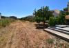 Holiday home Branka - 80 m from beach: Croatia - Dalmatia - Island Vir - Vir - holiday home #5789 Picture 12