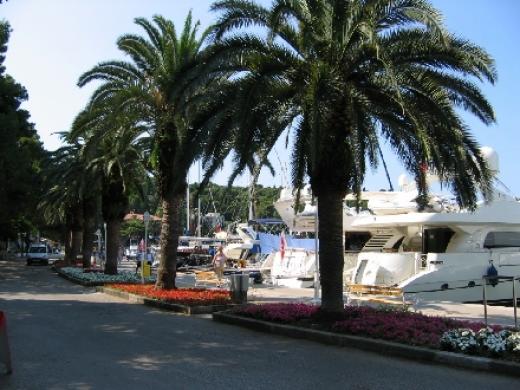 Ferienwohnungen Sea view apartments in Cavtat Kroatien - Dalmatien - Dubrovnik - Cavtat - ferienwohnung #594 Bild 1