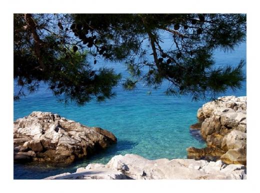 Ferienwohnungen Sea view apartments in Cavtat Kroatien - Dalmatien - Dubrovnik - Cavtat - ferienwohnung #594 Bild 3