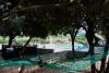 Holiday home Tonka - with pool; Croatia - Dalmatia - Island Brac - Pucisca - holiday home #6052 Picture 17