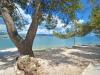 Ferienwohnungen Aurelija - 20 m from beach: Kroatien - Dalmatien - Insel Ciovo - Arbanija - ferienwohnung #6070 Bild 10