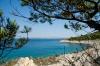 Ferienwohnungen Goran - close to the sea & parking space: Kroatien - Dalmatien - Insel Solta - Necujam - ferienwohnung #6088 Bild 13