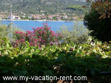 Apartament Vinisce Trogir Dalmacja Chorwacja #6115