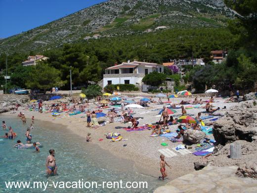 Ferienwohnungen BIANCINI Kroatien - Dalmatien - Insel Hvar - Ivan Dolac - ferienwohnung #612 Bild 3