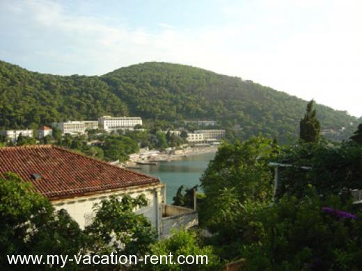 Apartments Mirela Croatia - Dalmatia - Dubrovnik - Dubrovnik - apartment #622 Picture 10