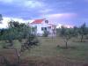 Dom wczasowy Olive House Chorwacja - Dalmacja - Zadar - Privlaka - dom wczasowy #634 Zdjęcie 9