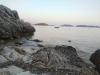Ferienwohnungen Desa - 10 m from the beach : Kroatien - Dalmatien - Insel Korcula - Prizba - ferienwohnung #6390 Bild 18