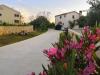 Apartments Ljilja - 250 m from blue flag beach: Croatia - Dalmatia - Zadar - Zaton (Zadar) - apartment #6401 Picture 14