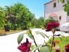 Apartments Ljilja - 250 m from blue flag beach: Croatia - Dalmatia - Zadar - Zaton (Zadar) - apartment #6401 Picture 14