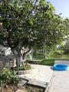 Apartments Ljilja - 250 m from blue flag beach: Croatia - Dalmatia - Zadar - Zaton (Zadar) - apartment #6401 Picture 14