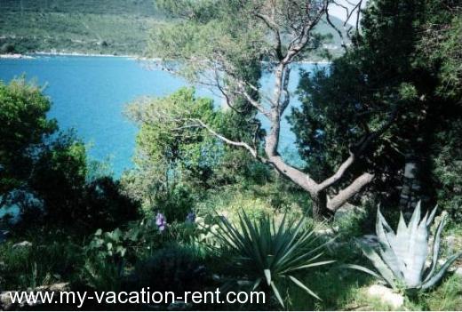 Apartmanok na privatnom otoku u Malom Stonu Horvátország - Dalmácia - Dubrovnik - Mali Ston - lakás #641 Kép 4