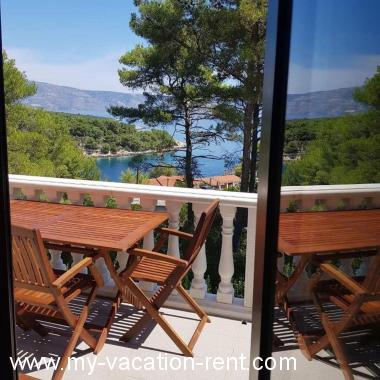 Apartmán Cove Basina (Jelsa) Ostrov Hvar Dalmácie Chorvatsko #6497