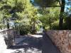 Apartments Makaj - 80 m from the beach :  Croatia - Dalmatia - Hvar Island - Cove Basina (Jelsa) - apartment #6497 Picture 9