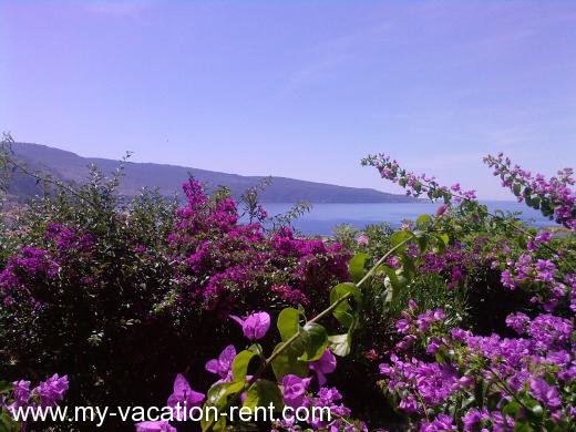 Ferienwohnungen Prvan Kroatien - Dalmatien - Insel Vis - Komiza - ferienwohnung #654 Bild 2