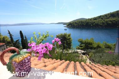 Apartment Stomorska Island Solta Dalmatia Croatia #6575
