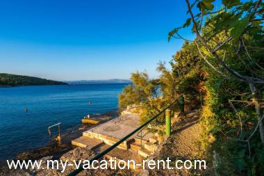 Apartments Angie - terrace with sea view: Croatia - Dalmatia - Island Solta - Necujam - apartment #6765 Picture 5