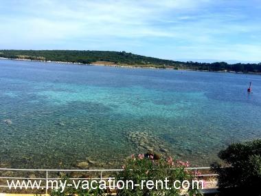 Apartament Ilovik (Island Ilovik) Wyspa Losinj Kvarner Chorwacja #6785