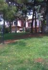 Apartments Niv - 100 m from beach: Croatia - Istria - Umag - Umag - apartment #6806 Picture 9