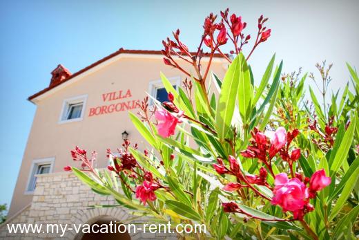 Maison de vacances Borgonja Croatie - Istrie - Porec - Visnjan - maison de vacances #684 Image 3