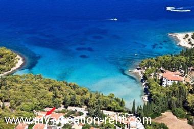 Maison de vacances Supetar Île de Brac La Dalmatie Croatie #7034