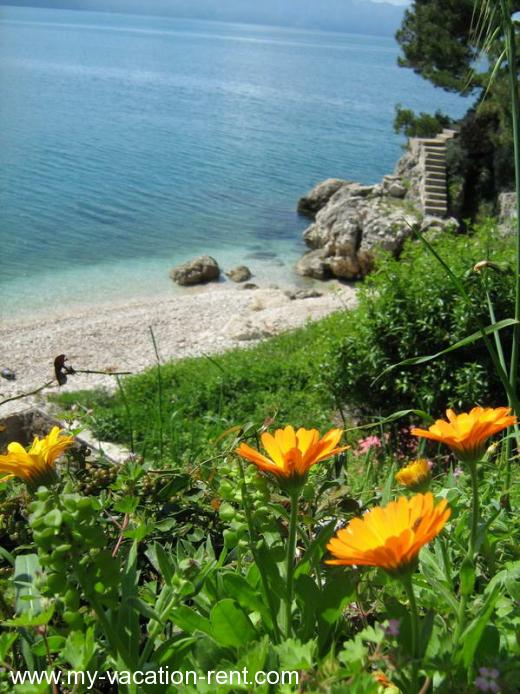 Ferienwohnung Podaca Dubrovnik Dalmatien Kroatien #710