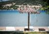 Apartments Mira - near sandy beach Croatia - Kvarner - Island Rab - Supetarska Draga - apartment #7203 Picture 14