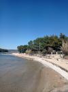 Ferienwohnungen Marina: Kroatien - Dalmatien - Insel Pasman - Barotul - ferienwohnung #7267 Bild 10