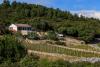 Holiday home Paradiso - quiet island resort : Croatia - Dalmatia - Island Vis - Cove Parja (Vis) - holiday home #7283 Picture 18