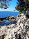 Ferienwohnungen Ana - cosy with sea view : Kroatien - Dalmatien - Dubrovnik - Dubrovnik - ferienwohnung #7311 Bild 8