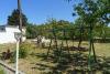 Ferienwohnungen Petar - garden with BBQ : Kroatien - Kvarner - Insel Rab - Kampor - ferienwohnung #7356 Bild 8