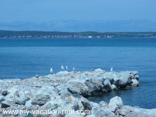 Ferienwohnungen Pintur Kroatien - Dalmatien - Insel Pasman - Zadar, island Pašman, Banj - ferienwohnung #739 Bild 5