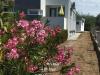 Apartments Fuzi - 50 m from sea: Croatia - Dalmatia - Zadar - Bibinje - apartment #7402 Picture 12