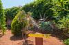 Dom wczasowy Lumos - panoramic view & olive garden: Chorwacja - Dalmacja - Wyspa Brac - Postira - dom wczasowy #7415 Zdjęcie 17