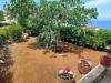 Holiday home Lumos - panoramic view & olive garden: Croatia - Dalmatia - Island Brac - Postira - holiday home #7415 Picture 17