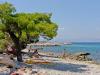 Ferienwohnungen Bal - 400 m from beach: Kroatien - Dalmatien - Insel Brac - Supetar - ferienwohnung #7421 Bild 9