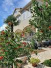 Appartements Josip - free parking and BBQ: Croatie - La Dalmatie - Sibenik - Vodice - appartement #7436 Image 16