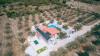 Holiday home Ivy - with outdoor swimming pool: Croatia - Dalmatia - Sibenik - Vodice - holiday home #7437 Picture 11