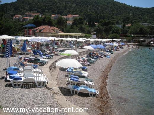 Ferienwohnungen Marina I Kroatien - Dalmatien - Dubrovnik - Dubrovnik - ferienwohnung #745 Bild 4