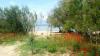 Apartments Dragi - with pool: Croatia - Dalmatia - Zadar - Nin - apartment #7461 Picture 18