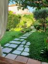 Guest rooms Garden - with a view: Croatia - Dalmatia - Dubrovnik - Dubrovnik - guest room #7471 Picture 11