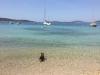 Apartments Delfin - sea view: Croatia - Dalmatia - Island Prvic - Sepurine (Island Prvic) - apartment #7474 Picture 8