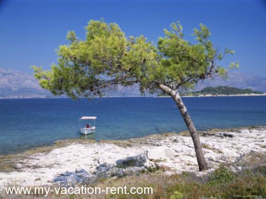 Ferienwohnungen Danijela Kroatien - Dalmatien - Insel Korcula - Lumbarda - ferienwohnung #752 Bild 6
