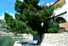 Apartments Maris - next to the beach: Croatia - Kvarner - Senj - Lukovo Sugarje - apartment #7587 Picture 12