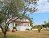 Apartments Snjeza - 80 m from beach: Croatia - Dalmatia - Island Vir - Vir - apartment #7593 Picture 7