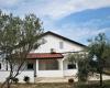 Apartments Snjeza - 80 m from beach: Croatia - Dalmatia - Island Vir - Vir - apartment #7593 Picture 7