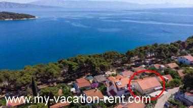 Apartament Jelsa Wyspa Hvar Dalmacja Chorwacja #7611