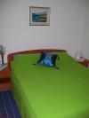 Apartments Vinko Croatia - Dalmatia - Hvar Island - Jelsa - apartment #767 Picture 7