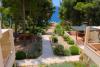 Apartments Dino - gorgeous garden Croatia - Dalmatia - Hvar Island - Zavala - apartment #7703 Picture 27