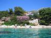 Apartmani Dino - gorgeous garden Hrvatska - Dalmacija - Otok Hvar - Zavala - apartman #7703 Slika 27